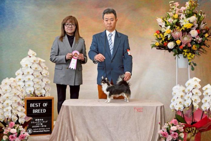 ブリーダー、犬に関する画像