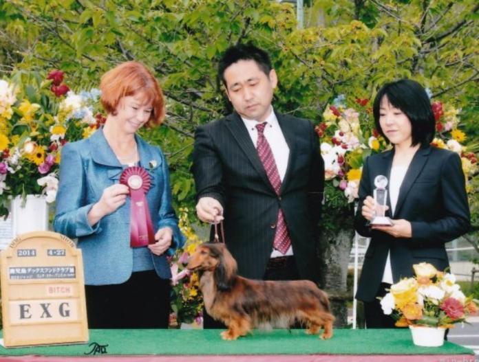 ブリーダー、犬に関する画像