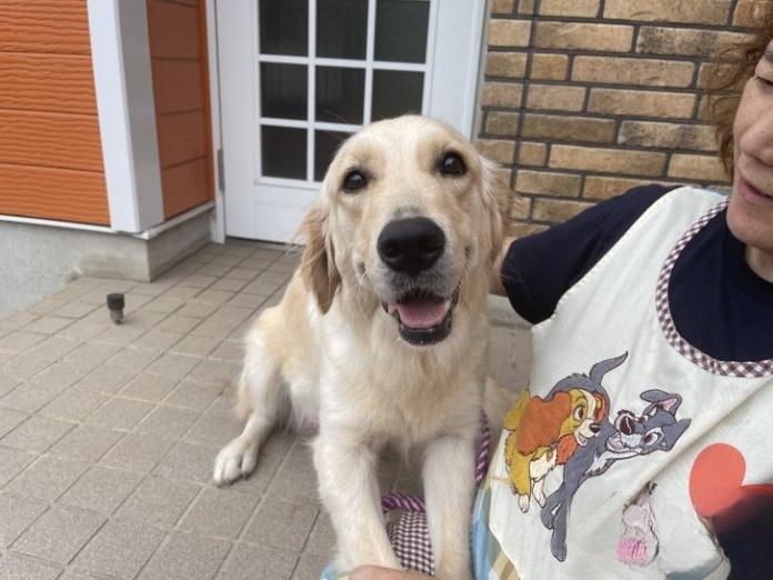 犬のプロフィール画像