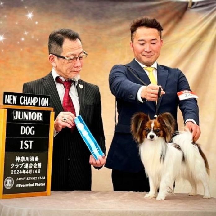 犬のプロフィール画像