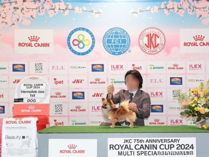犬のプロフィール画像