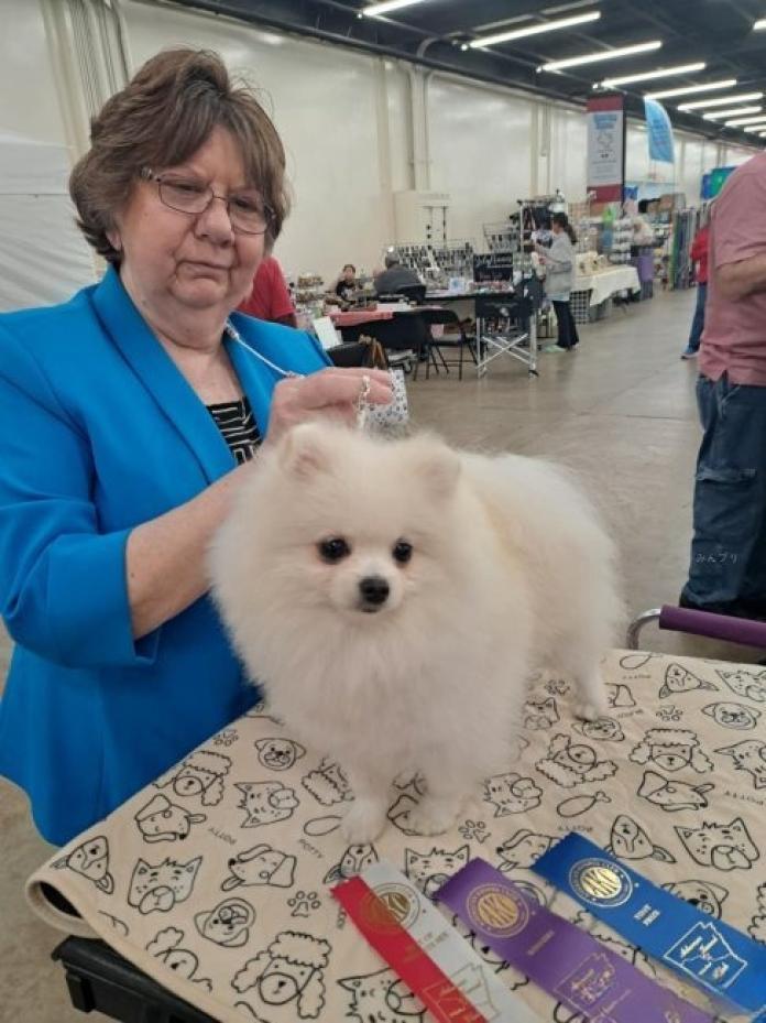 犬のプロフィール画像