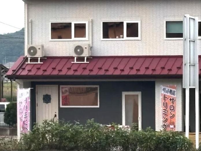 森田 美穂ブリーダー(群馬県)の情報・子犬一覧