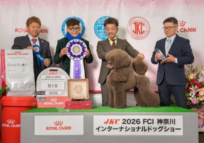 犬のプロフィール画像