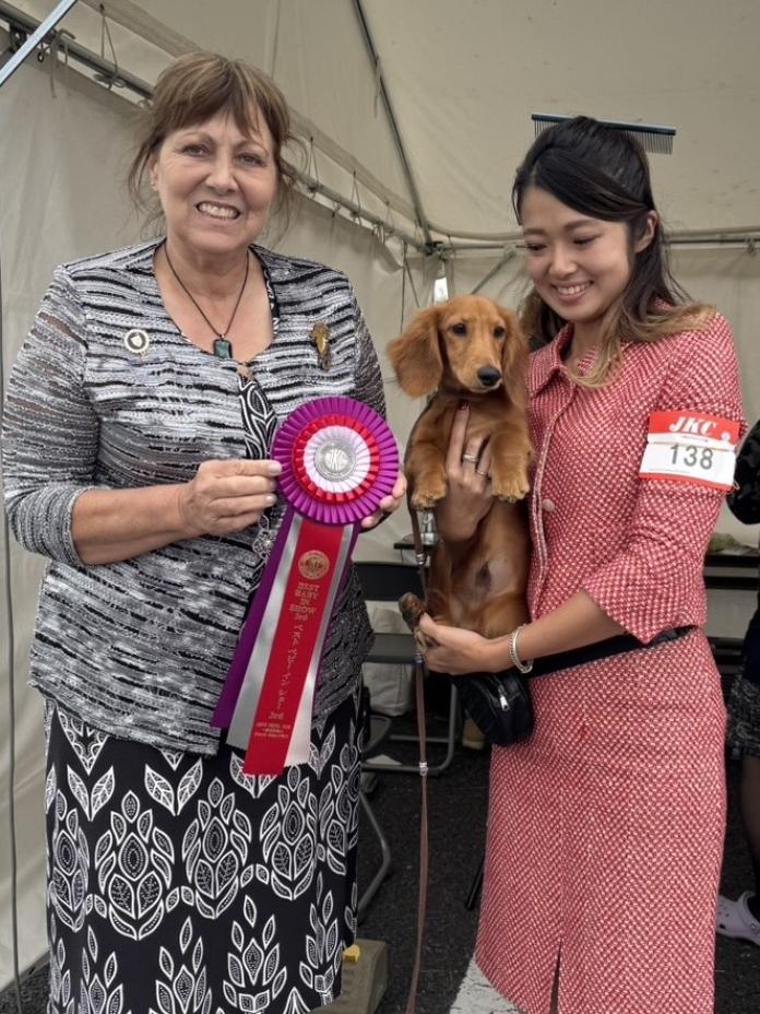 犬のプロフィール画像