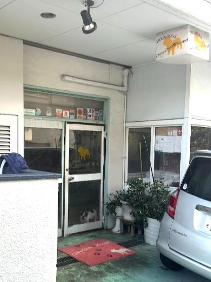 栗林 美穂ブリーダー(東京都)の情報・子犬一覧
