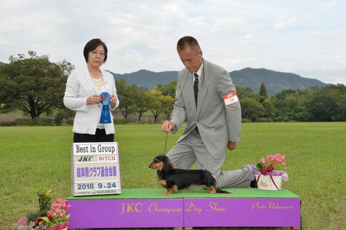 犬のプロフィール画像