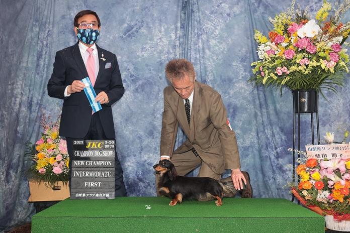 犬のプロフィール画像