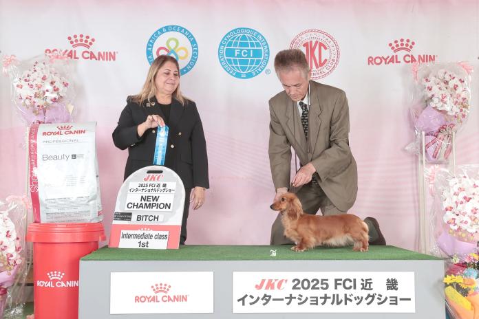 犬のプロフィール画像