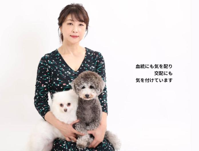ブリーダー、犬に関する画像