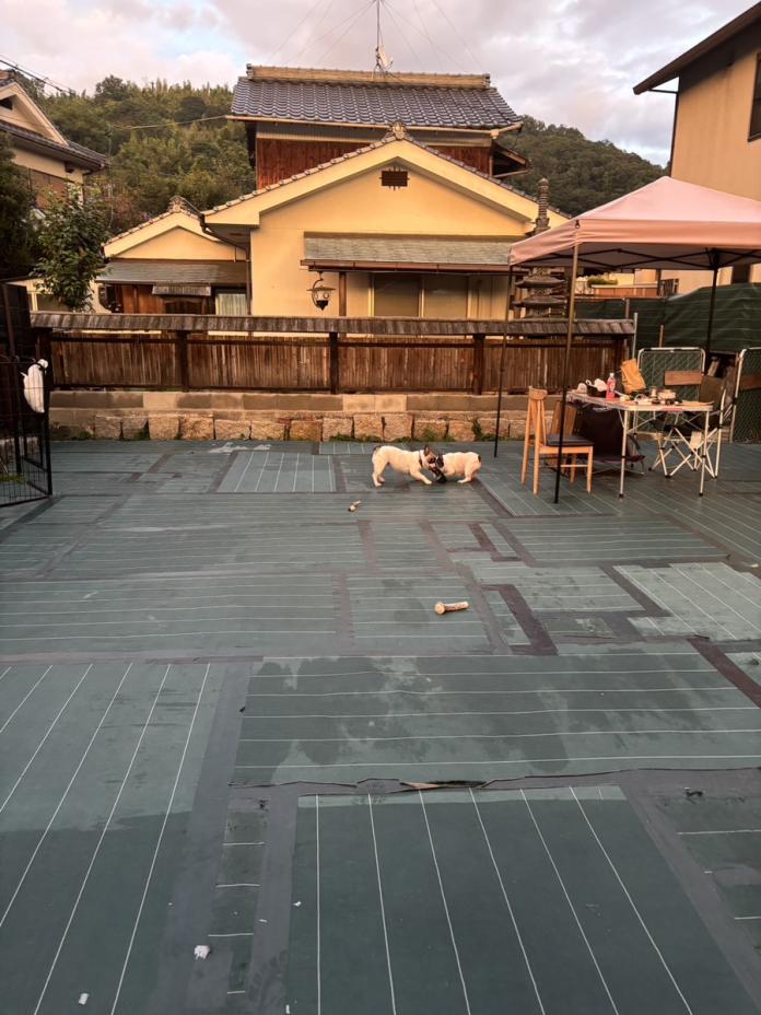 ブリーダー、犬に関する画像