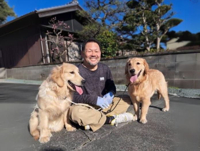 ブリーダー、犬に関する画像