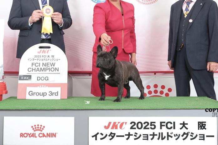 犬のプロフィール画像