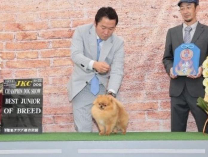 犬のプロフィール画像