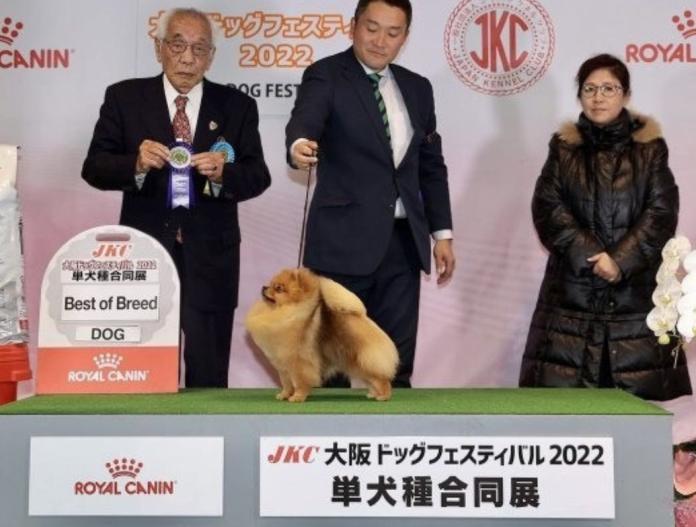 犬のプロフィール画像