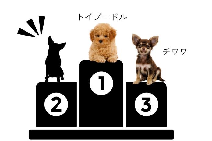 犬種ランキング