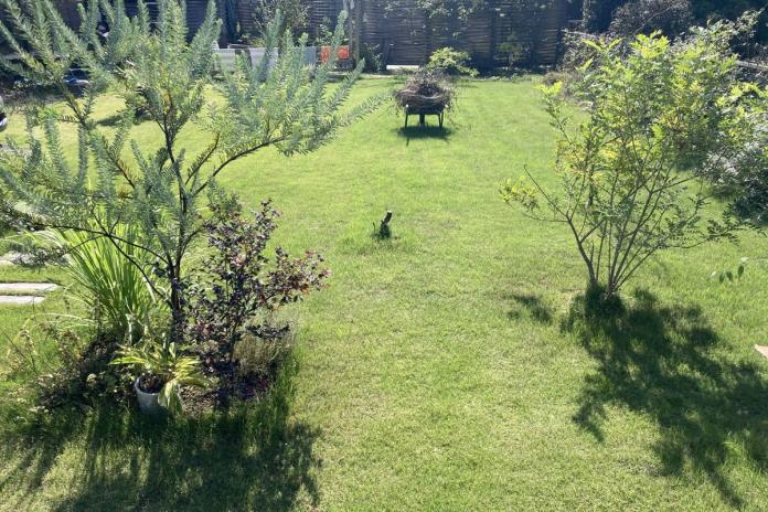 ダックスが遊べる広いお庭