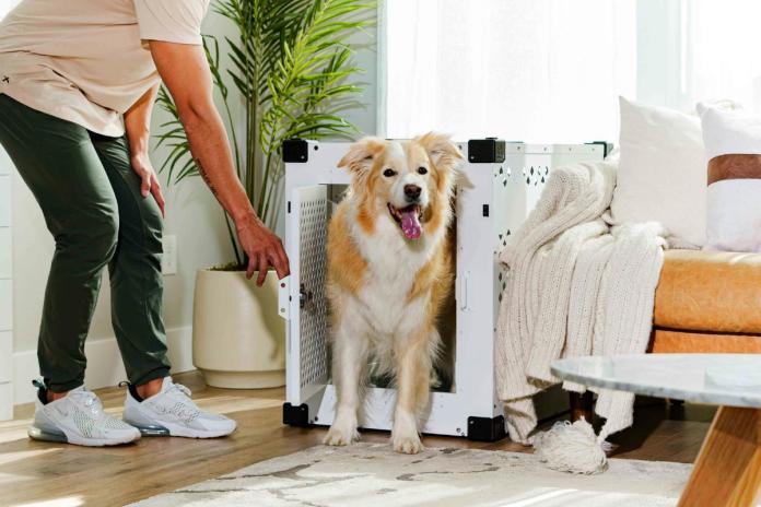 クレートから顔を出す犬