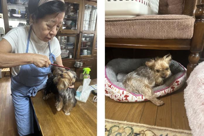 鈴木ブリーダーと引退の子