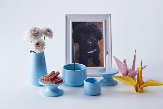 写真の中の愛犬