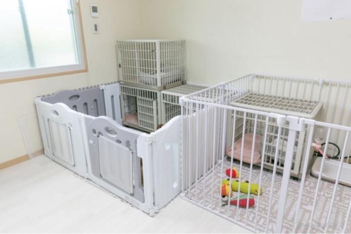 大東ブリーダーの犬舎