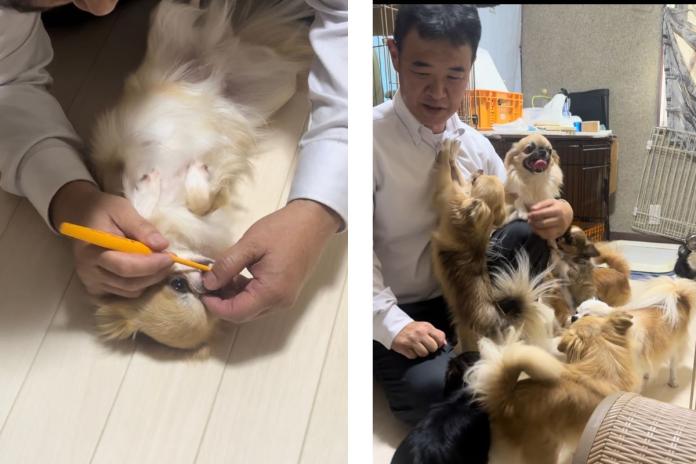 BreederFamiliesの犬舎見学時の写真 BreederFamiliesの犬舎見学時の写真
