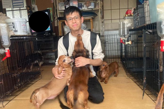 はじめてでも積極的に近寄ってくれるダックスたち はじめてでも積極的に近寄ってくれるダックスたち