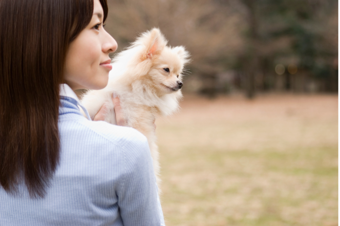 犬を抱っこ 犬を抱っこ