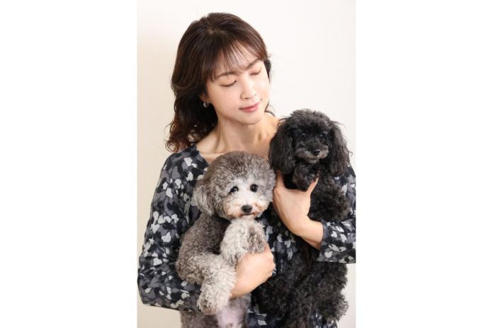 トイプードルの菅野ブリーダー