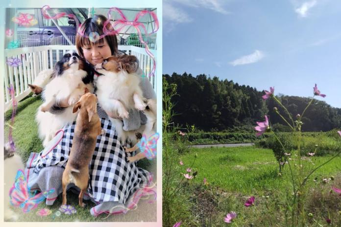 愛情たっぷり土屋ブリーダー