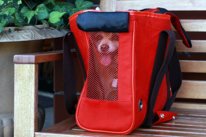 キャリーに入っている犬