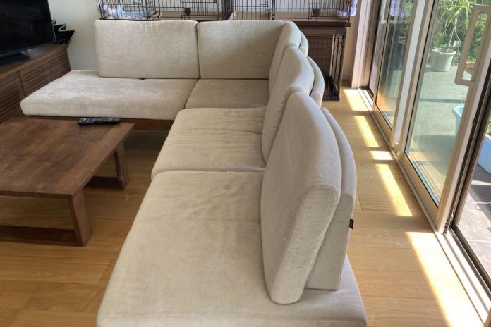 小池ブリーダーの清潔感あふれる飼育スペース