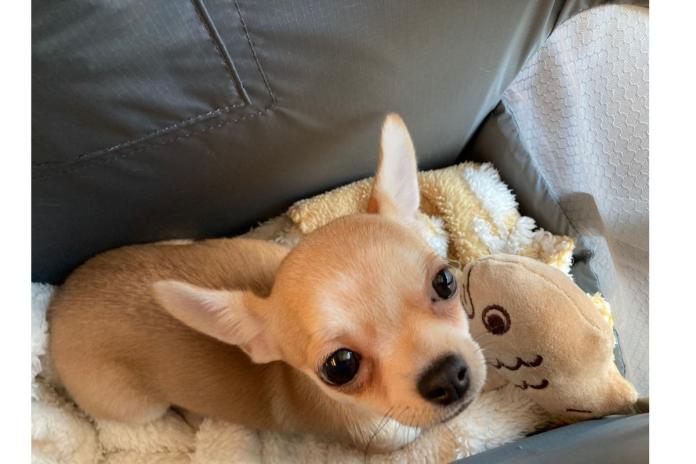 ぬいぐるみをかかえる「ちゅらら」ちゃん