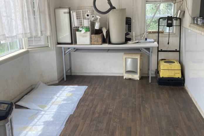 △一階のリビングは、まるごとハスキーたちのお部屋になっています