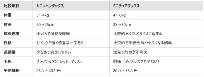 （表）カニンヘンとミニチュアの違い