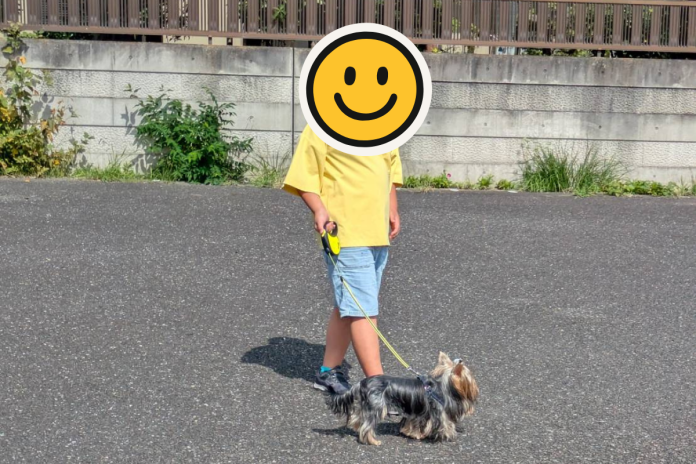 ヨークシャテリア