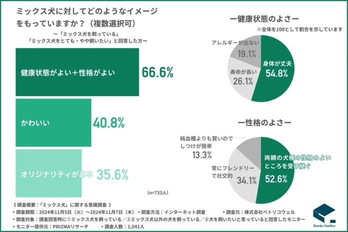 2024年11月調査 2024年11月調査