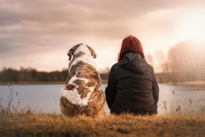 後ろ向きで座る女性と犬 後ろ向きで座る女性と犬