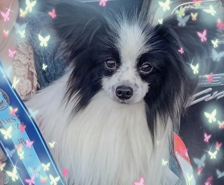 ローリエ くんの受賞時写真